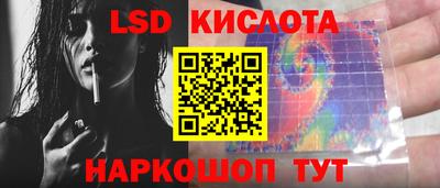крисы Дубна