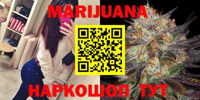 крисы Дубна