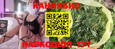крисы Дубна