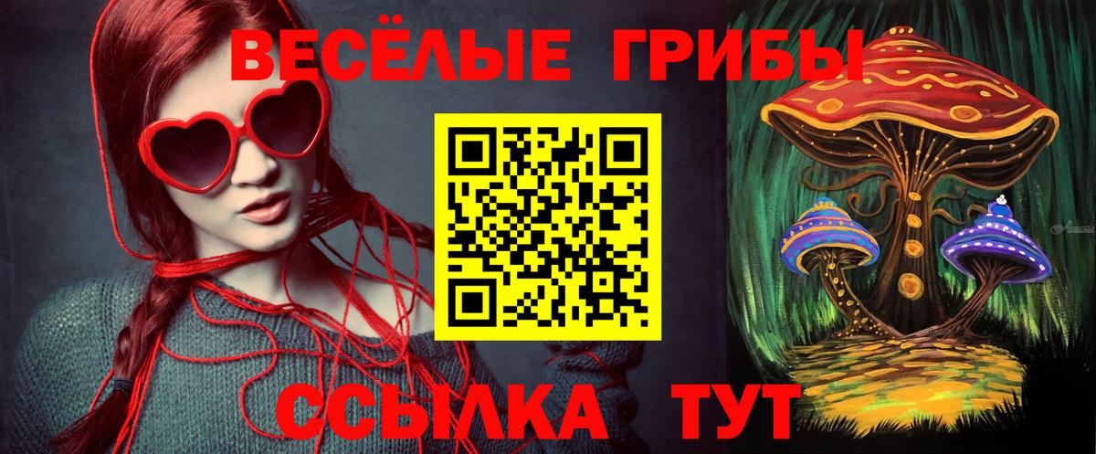 Псилоцибиновые грибы GOLDEN TEACHER Губаха