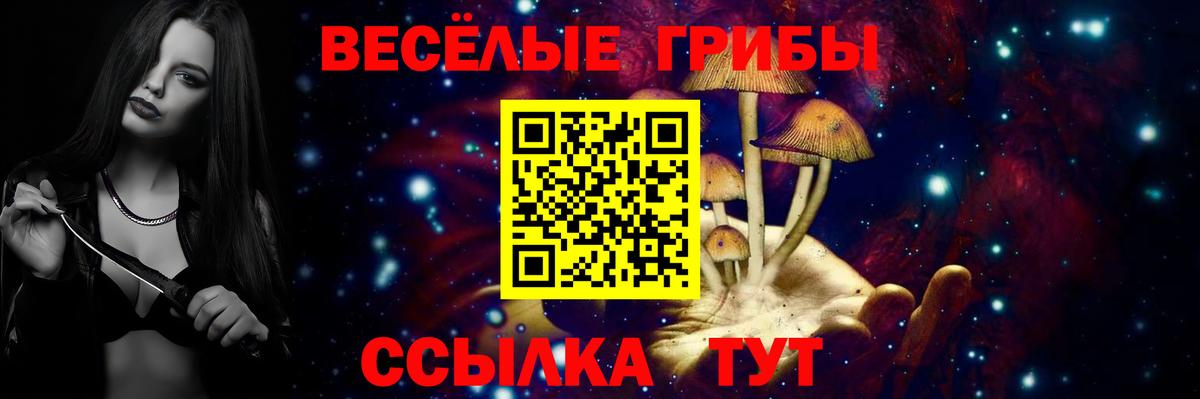 Псилоцибиновые грибы Magic Shrooms  где можно купить   Галлюциногенные грибы Psilocybe  Губаха  Вход с VPN 